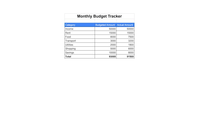 create professional excel spreadsheet or budget tracker